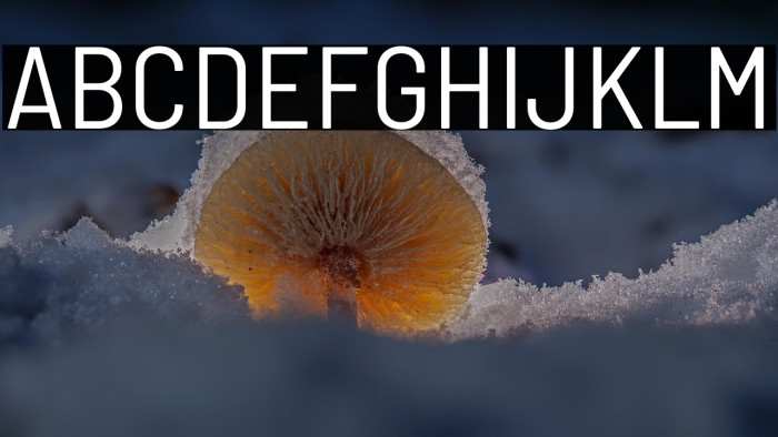 Barlow Semi Condensed Regular Example 3