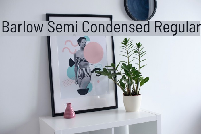 Barlow Semi Condensed Regular Font examples