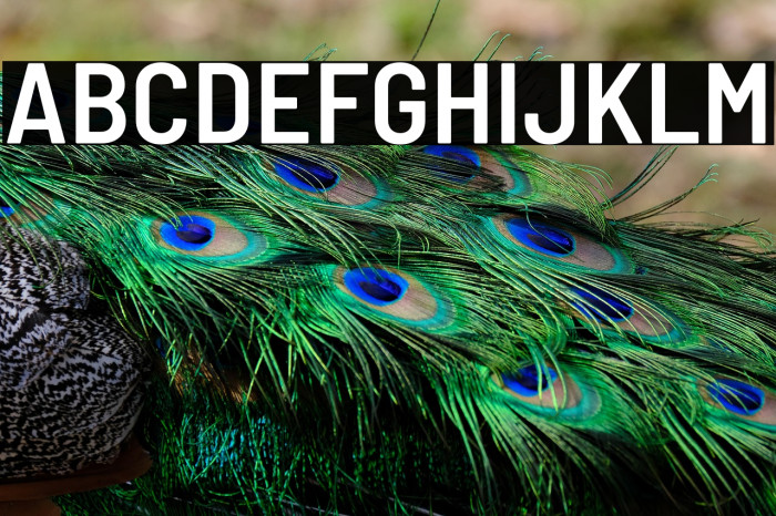 Barlow Semi Condensed SemiBold Example 1