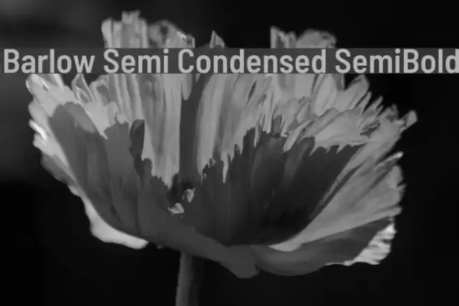 Barlow Semi Condensed SemiBold फ़ॉन्ट examples