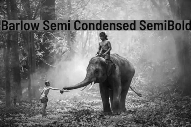 Barlow Semi Condensed SemiBold फ़ॉन्ट examples