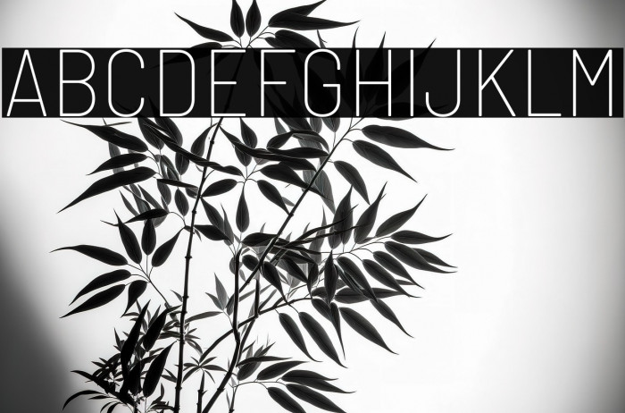 Barlow Semi Condensed Thin Example 3