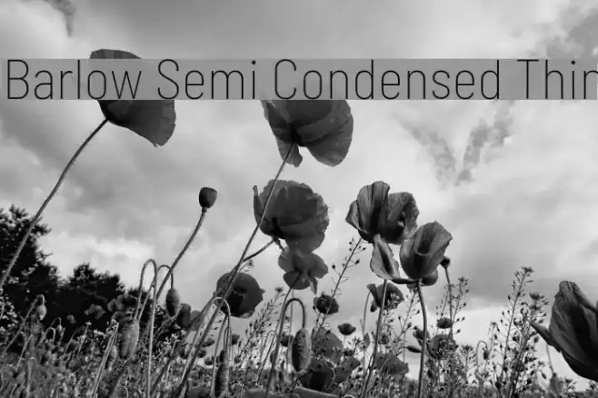 Barlow Semi Condensed Thin Font examples