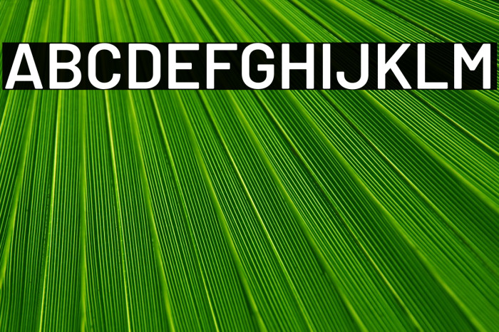 Barlow SemiBold Example 1