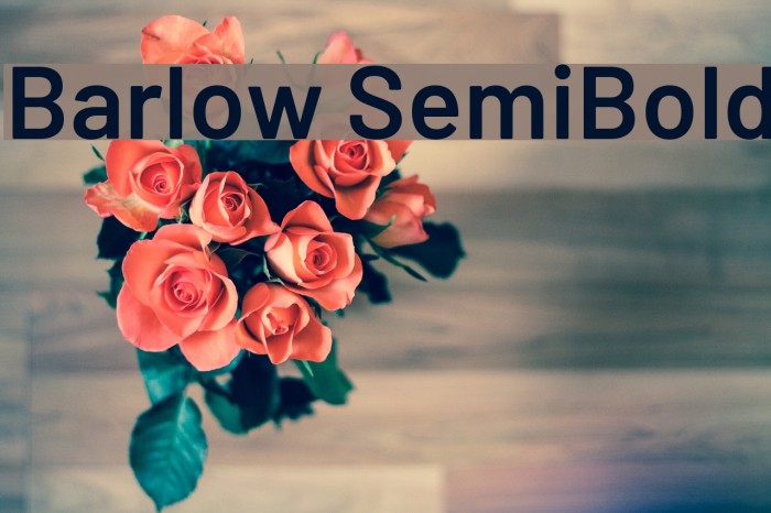 Barlow SemiBold Font examples