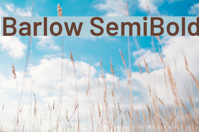 Barlow SemiBold Font examples