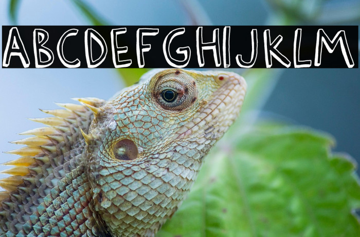 Barlow by Thunderpanda ver 02 Example 2