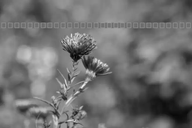 Barlow by Thunderpanda ver 02 Font examples