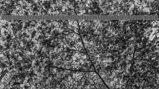 Barlow by Thunderpanda ver 02 Font examples