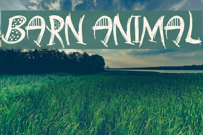 Barn Animal Font examples