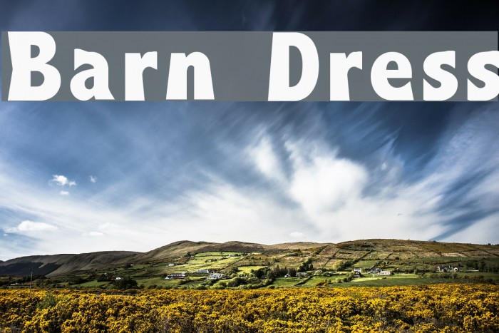 Barn Dress Example 1