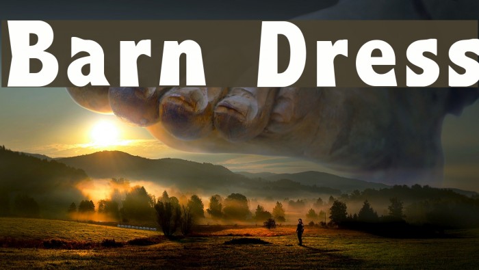 Barn Dress Example 2