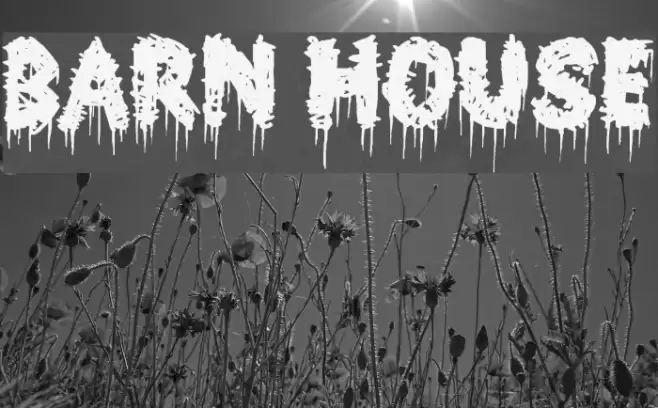 Barn House Font examples