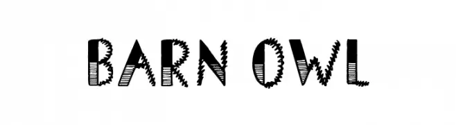 Barn Owl  Fuentes Gratis Descargar