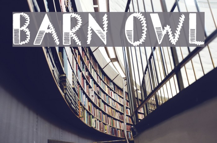 Barn Owl Font examples