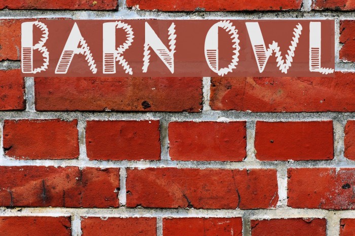 Barn Owl Font examples