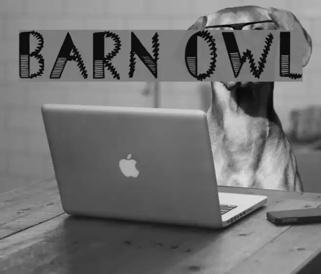 Barn Owl Font examples