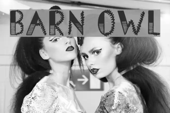 Barn Owl Font examples