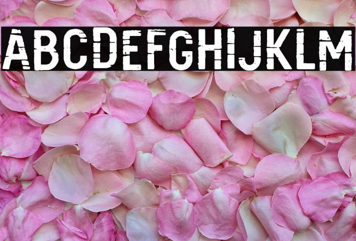 Barna Break Example 1