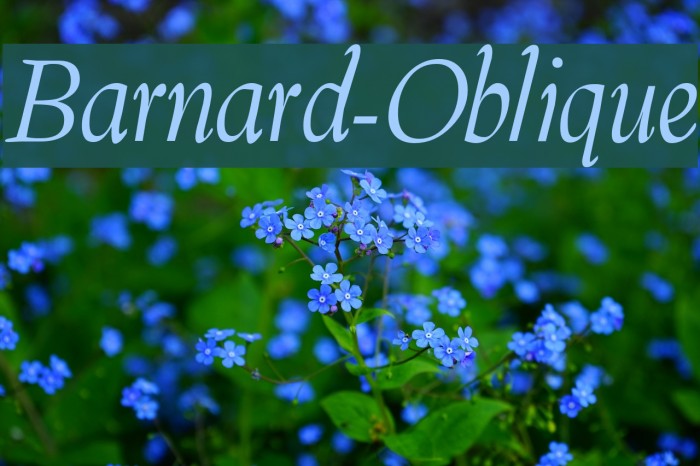 Barnard-Oblique Font examples
