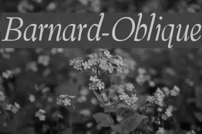 Barnard-Oblique  examples