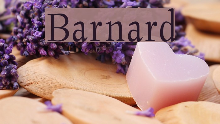 Barnard Font examples