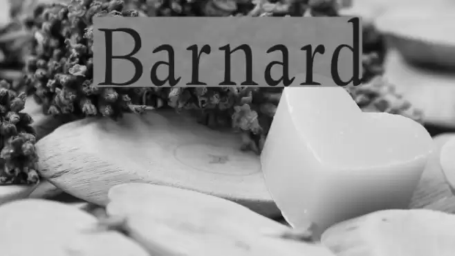 Barnard  examples