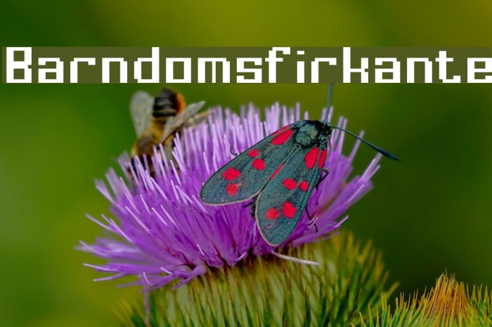 Barndomsfirkante Fonte examples