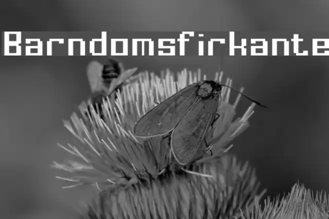 Barndomsfirkante Font examples