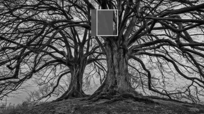 Barnes_erc_ Font examples