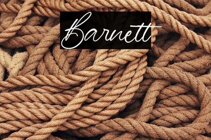 Barnett Example 1