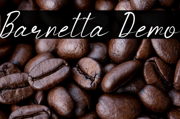 Barnetta Demo Example 1