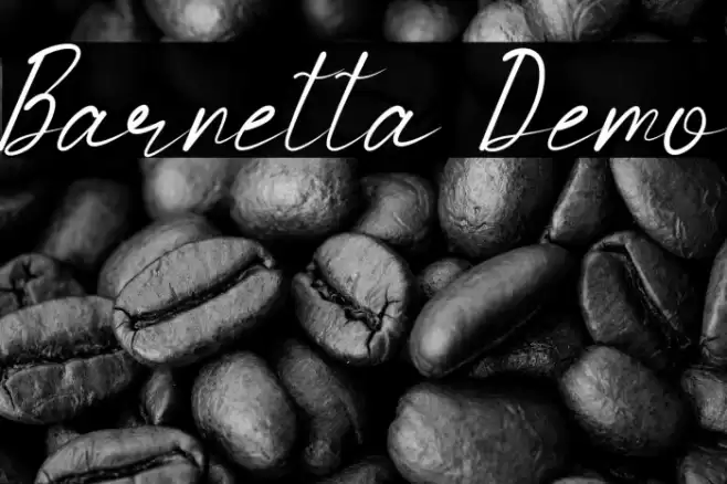 Barnetta Demo Font examples