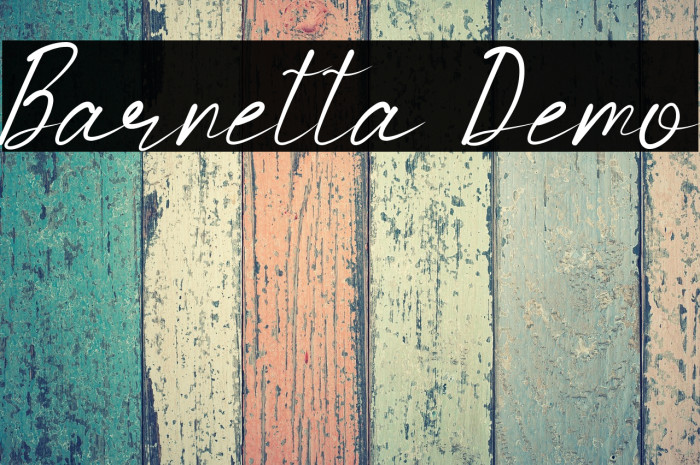 Barnetta Demo Example 2