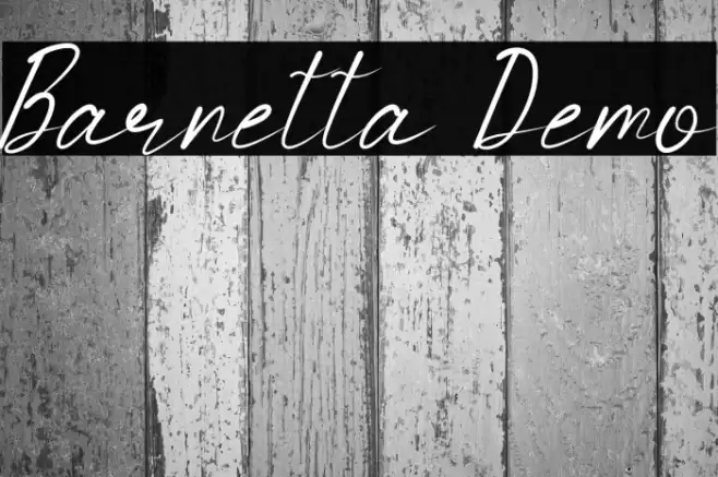Barnetta Demo Font examples