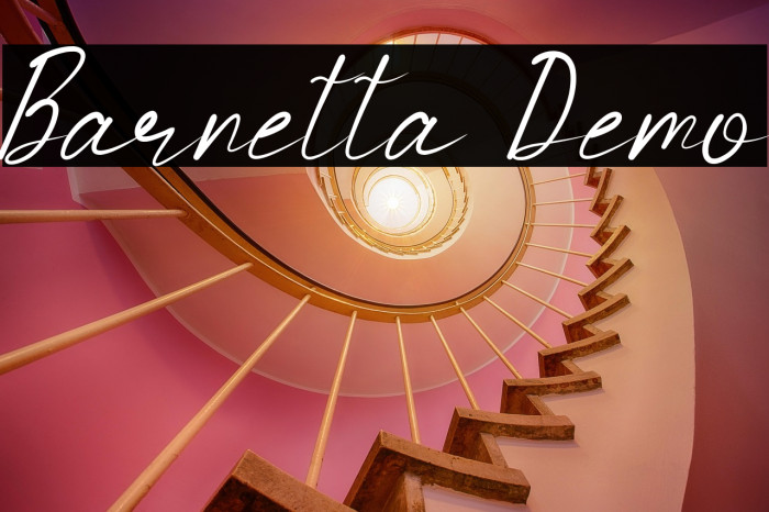 Barnetta Demo Example 3