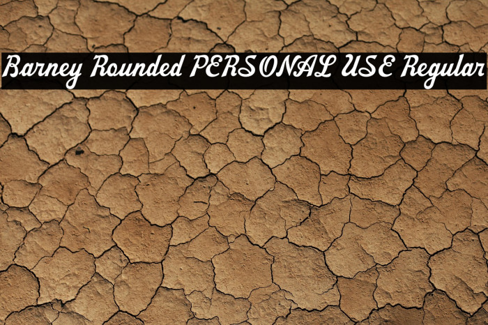 Barney Rounded PERSONAL USE Regular Example 1
