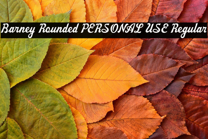 Barney Rounded PERSONAL USE Regular Example 2