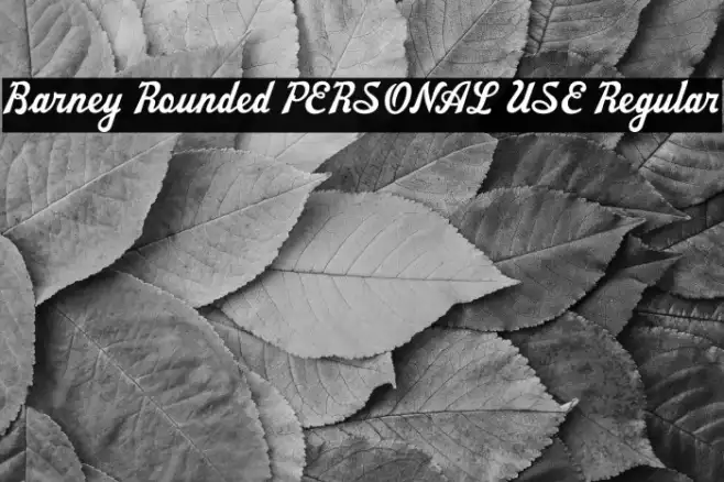Barney Rounded PERSONAL USE Regular Example 2
