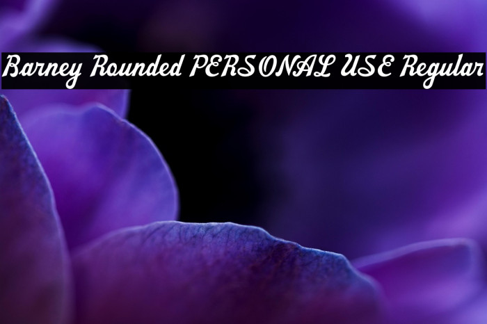 Barney Rounded PERSONAL USE Regular Example 3