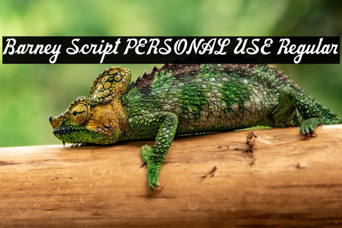Barney Script PERSONAL USE Regular Example 3