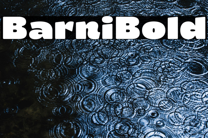 Barni Bold Example 1