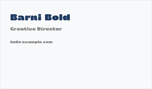 Barni Bold Business Card