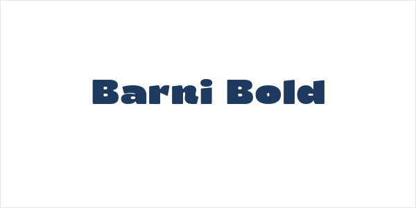 Barni Bold Logo