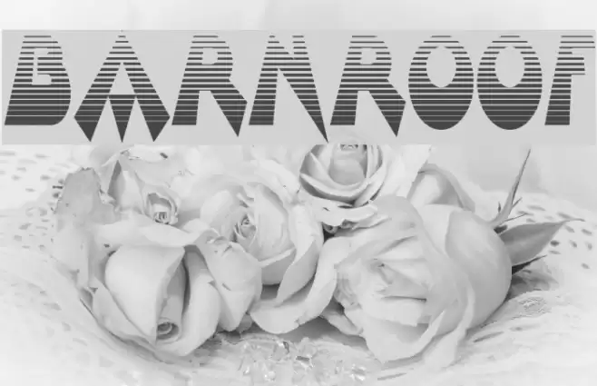 Barnroof Font examples