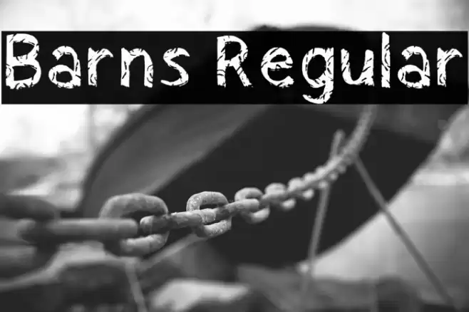 Barns Regular Font examples