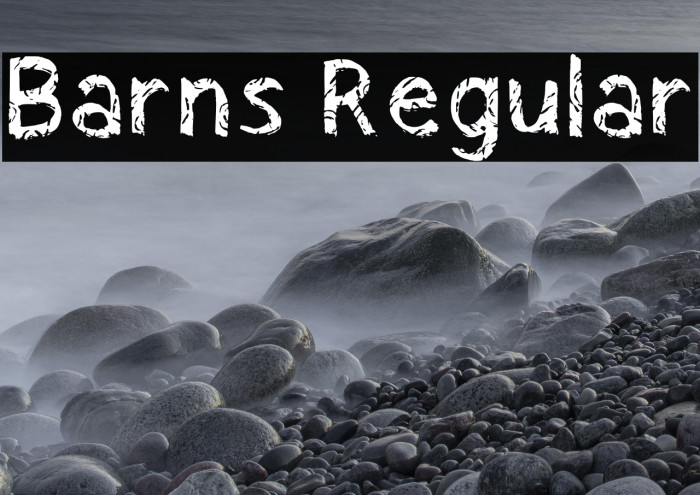 Barns Regular Example 2