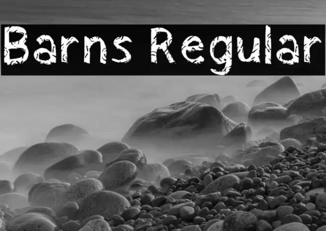 Barns Regular Font examples
