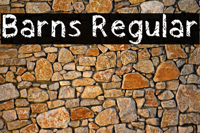 Barns Regular Example 3