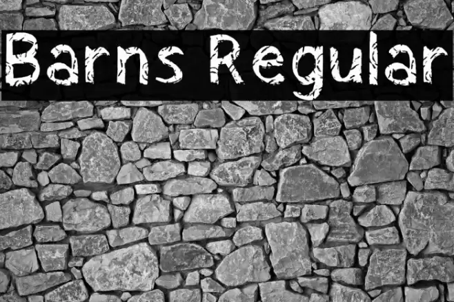 Barns Regular Font examples